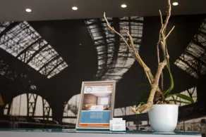 Sercotel Avenida Almería - Reception