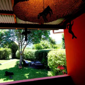 Moonshine on Whiskey Creek - Ausblick vom Zimmer