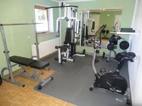 Familienorientierte Ferienwohnung mit Garten und Terrasse | Skifahren in der Nähe - Fitnessbereich