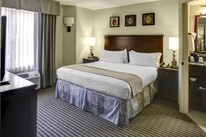 Holiday Inn Express Hotel & Suites Atlanta Buckhead by IHG - Chambre