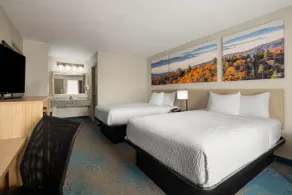 Days Inn by Wyndham Murphy - Chambre