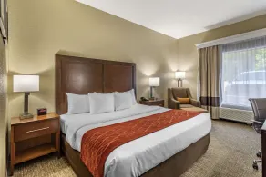 Comfort Inn Kingsport Southeast - Chambre