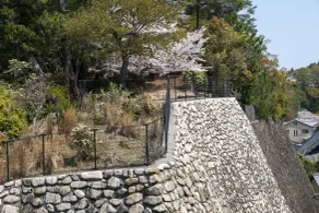 Hotel Miya Rikyu - Vue de la chambre