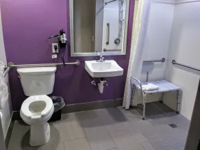 Quality Suites Fort Myers I-75 - Badeværelse