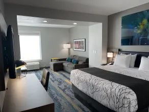 La Quinta Inn & Suites by Wyndham Dallas/Fairpark - Room
