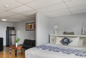 Mt Royal Motel - Chambre