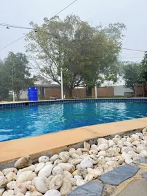 The forest hill cafe&homestays Chiangmai - Pool