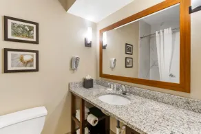 Comfort Suites At the University - Zimmer