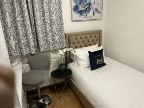 TJ Homes - Entire place for 5 Guests - London - Room