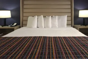 The Palms Inn & Suites Miami, Kendall, FL - Chambre