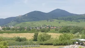 Resort Barrière Ribeauvillé - Vue de la chambre