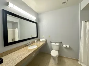Baymont Inn & Suites by Wyndham Morrow - Atlanta I-75 South - Salle de bain