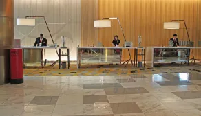 Grand Copthorne Waterfront Hotel Singapore - Recepción