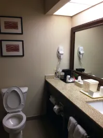 Quality Inn & Suites near St Louis and I-255 - Bathroom