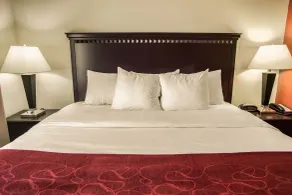 Comfort Suites Bloomington I-55 and I-74 - Chambre