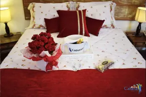 Cabanas Termas Hotel - Habitación