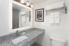 Ramada by Wyndham Milwaukee - Badezimmer