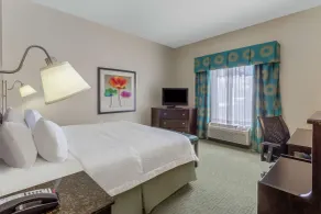 Hampton Inn Richmond - South - Chambre