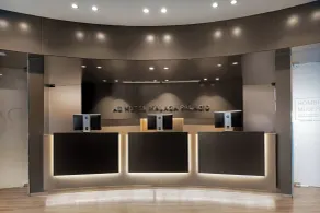 AC Hotel Málaga Palacio by Marriott - Réception