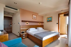 Hotel Plaža - Room