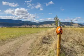 Arlee Studio w/ Mountain Views: 29 Mi to Missoula - Innvendig