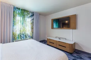 Fairfield Inn and Suites by Marriott Tampa North - Chambre