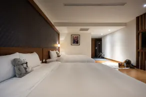 Hotel Bonza - Vue de la chambre
