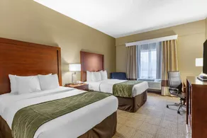 Comfort Inn Aikens Center - Chambre