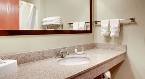 Cobblestone Inn & Suites - Altamont - Salle de bain