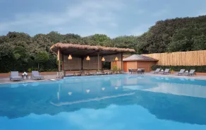 voco Jim Corbett by IHG - Pool