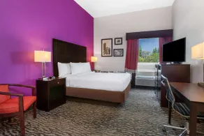 La Quinta by Wyndham Tampa Bay Area-Tampa South - Room