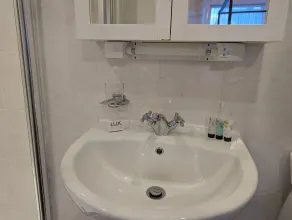 The Senarth - Bathroom