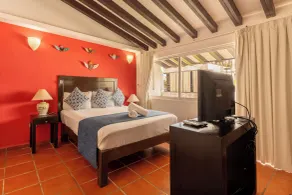 La Iguana Vallarta LGBT ADULTS ONLY - Romantic Zone - Party Clubbing Street - Room
