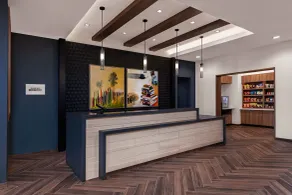 SpringHill Suites by Marriott Chula Vista Eastlake - Reception