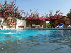 Nile Compound - Piscine