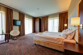 Copernicus Toruń Hotel - Room