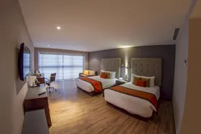Hotel El Diplomatico - Habitación