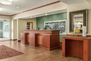 Hampton Inn Athens - Réception