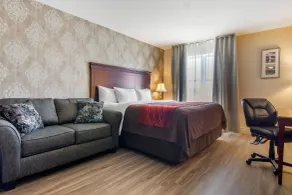 Comfort Inn & Suites - Chambre