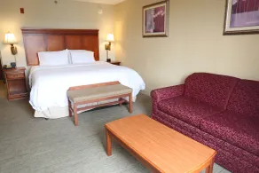 Hampton Inn Manning - Værelse