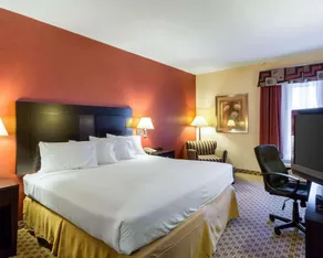 Quality Inn & Suites Oakwood Village - Cleveland South - Chambre