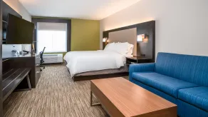 Holiday Inn Express Hotel & Suites Coon Rapids - Blaine Area by IHG - Chambre