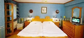 Villa Stresov - Zimmer