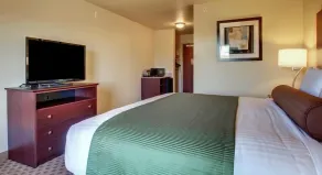 Cobblestone Inn & Suites - Altamont - Chambre