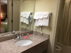 Econo Lodge Dothan West - Salle de bain