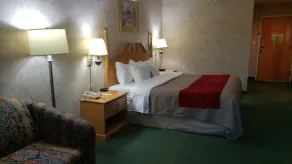 Econo Lodge Newport Smoky Mountains Gateway - Chambre