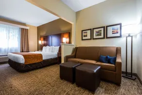 Comfort Suites Rochester Henrietta University Area - Chambre