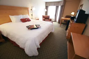 Hampton Inn & Suites Atlanta/Duluth/Gwinnett County - Chambre