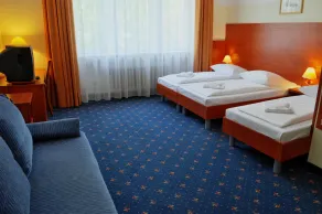 Hotel Europa City - Chambre