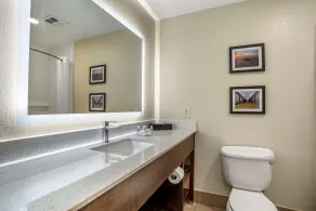 Comfort Inn & Suites Millbrook-Prattville - Salle de bain